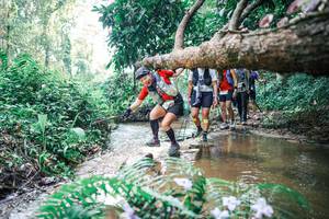 BIB: 
                            <button type="button" onclick="openModal(25459044)" class="btn btn-primary btn-sm float-right btn-popup" data-toggle="modal" data-target=".modal-high-quality">
                        <i class="fas fa-shopping-cart"></i> Add to Cart
                    </button>
                                            <button type="button" onclick="isThisMe(25459044, true)" class="btn btn-success btn-sm float-right btn-popup btn-isme hidden" data-toggle="tooltip" data-placement="bottom" title="นี่คือรูปของคุณใช่ไหม คลิกที่นี่เพื่อเอาเข้าอัลบั้ม">
                        <i class="fas fa-plus"></i> Add to album
                    </button>
                    <button type="button" onclick="isThisMe(25459044, false)" class="btn btn-warning btn-sm float-right btn-popup btn-isnotme hidden">
                        <i class="fas fa-ban"></i> Remove from album
                    </button>